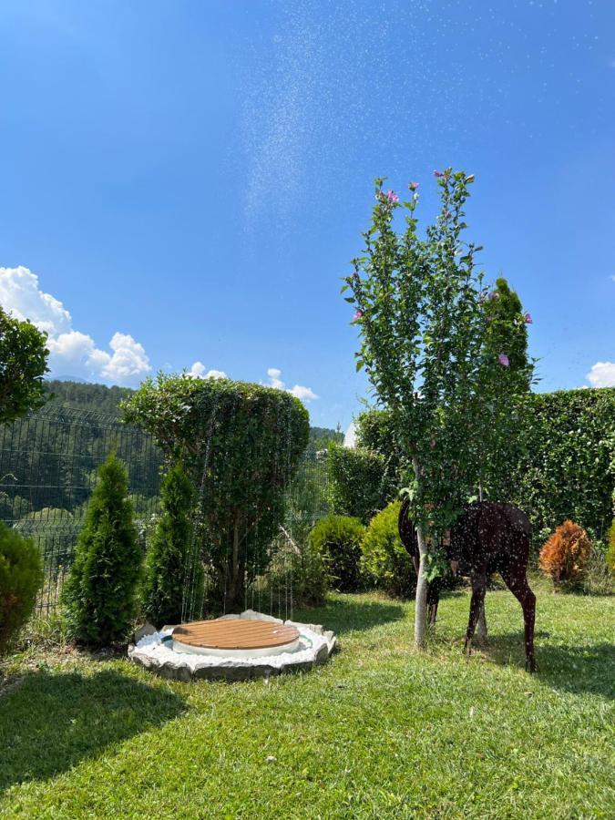 Katarino Spa Chalet Razlog Exterior foto